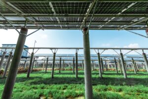 solar energy
