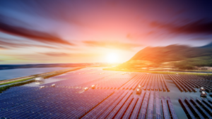 Solar panel farm at sunset