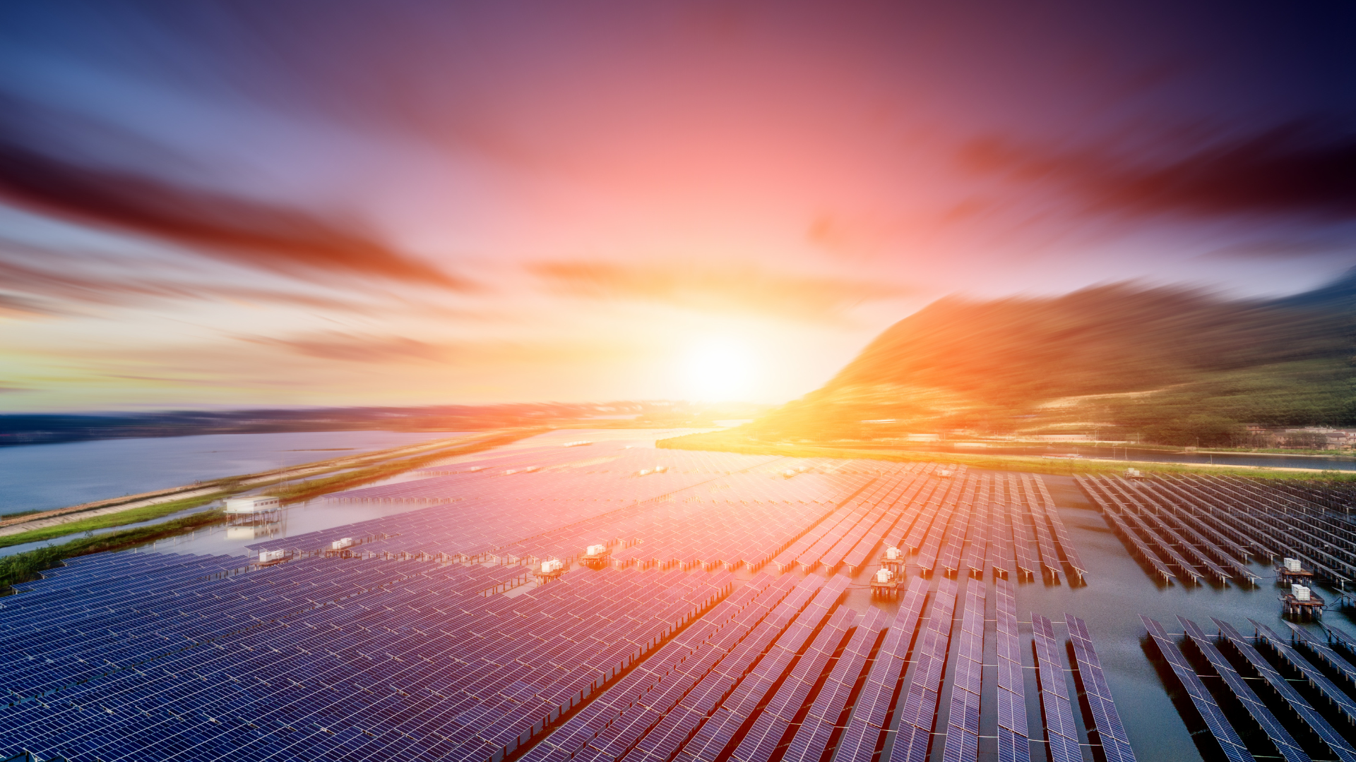 Solar panel farm at sunset